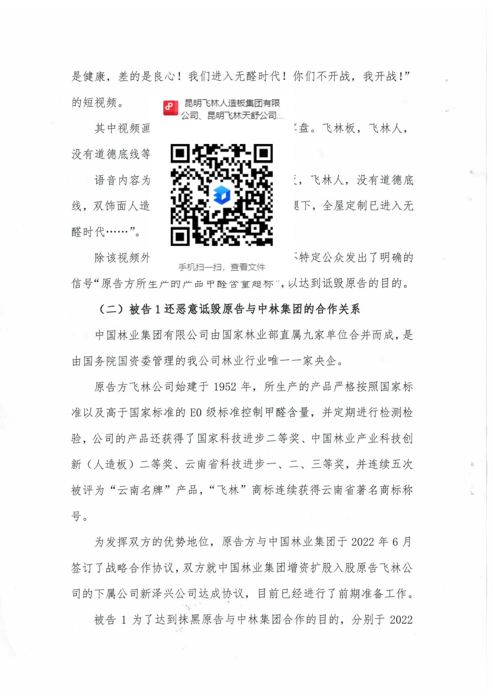 昆明飞林起诉书_03.jpg