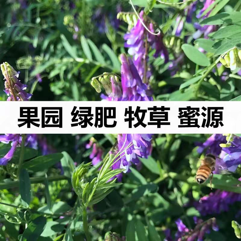 tb_image_share_1746413062522.jpg.png